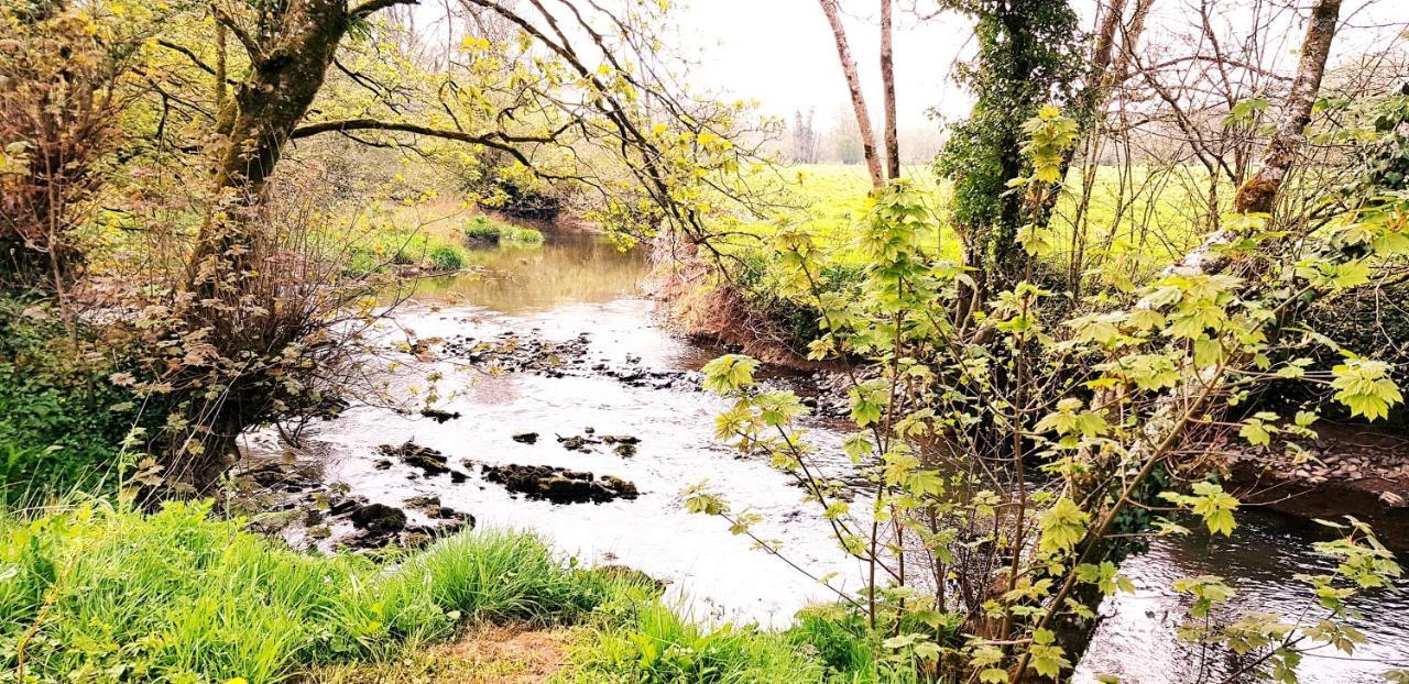Kingsley Cottage - Beautiful Riverside Setting Beaworthy Luaran gambar