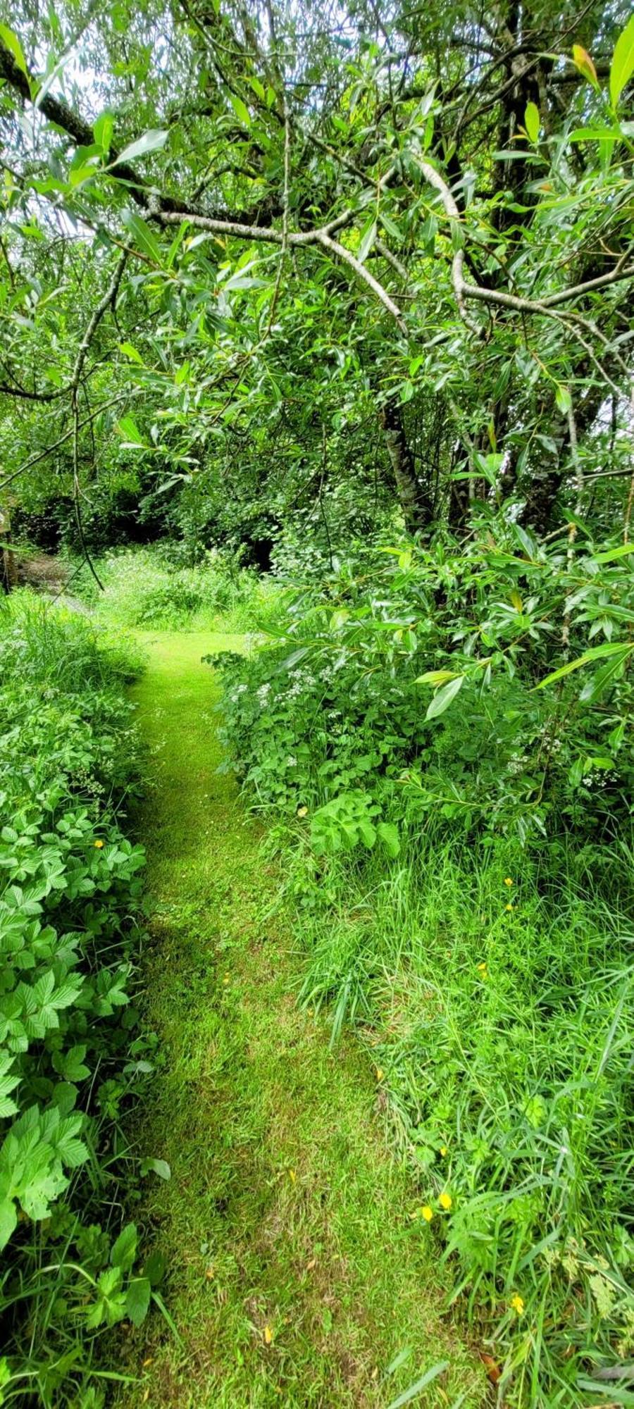 Kingsley Cottage - Beautiful Riverside Setting Beaworthy Luaran gambar