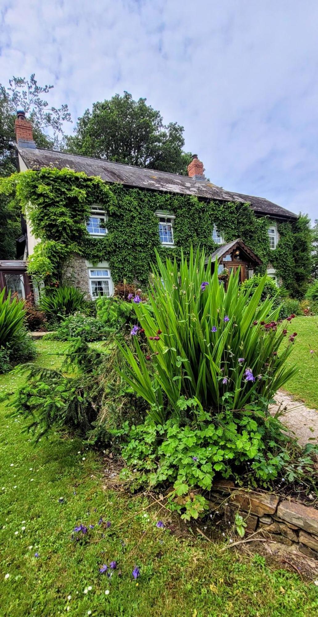 Kingsley Cottage - Beautiful Riverside Setting Beaworthy Luaran gambar